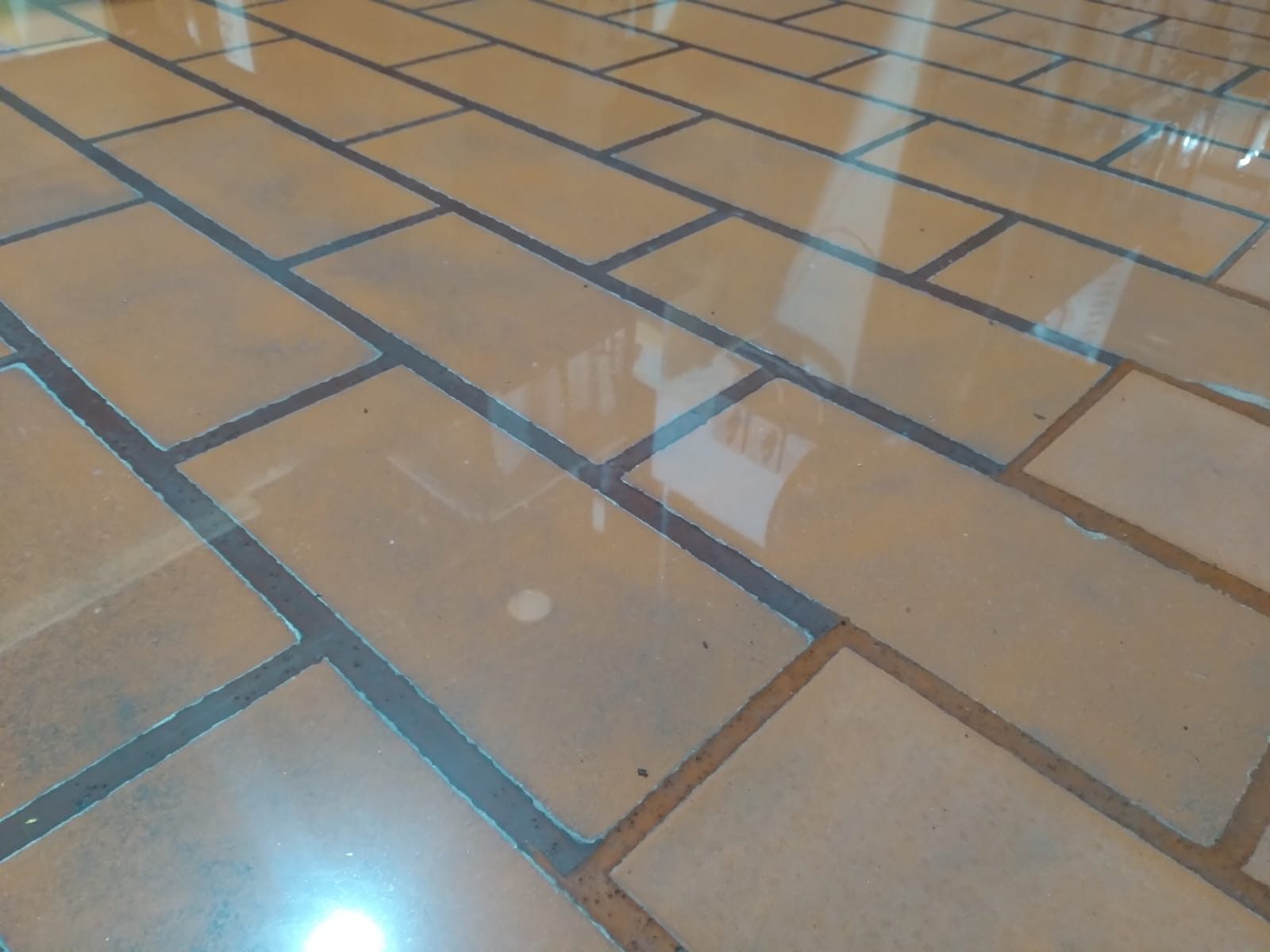Preparación de suelo y piso firme