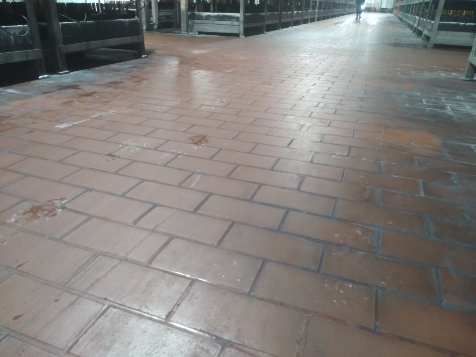 Preparación de firme en planta en operación